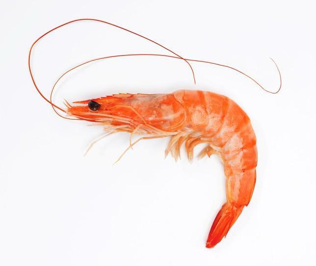 Whole Shrimp(1lb)