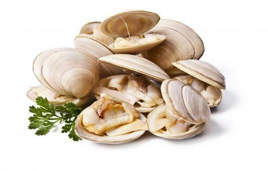 Clams(1lb)
